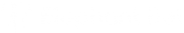 Elephant Bet logo